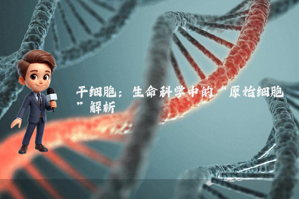 干细胞：生命科学中的“原始细胞”解析