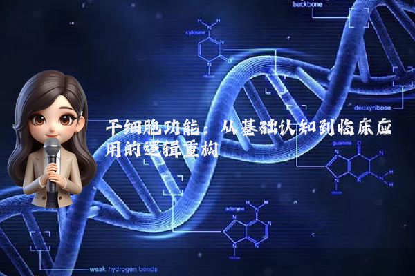干细胞功能：从基础认知到临床应用的逻辑重构