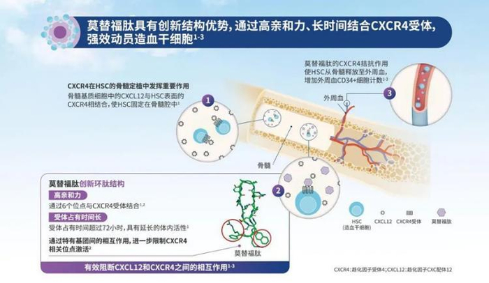 首创多肽类干细胞动员药物莫替福肽正式落地粤港澳大湾区，造福多发性骨髓瘤患者